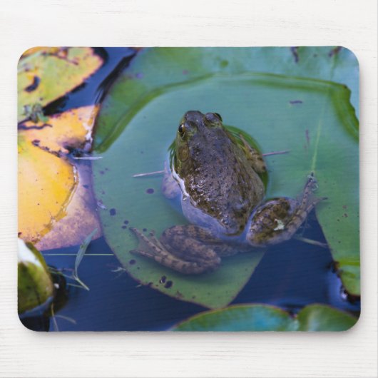 Teichfrosch Mousepad (Vorne)