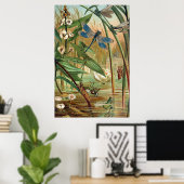 Teichleben Poster (Heimbüro)