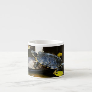 Teichschieberschildkröte im wilden espressotasse