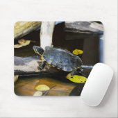Teichschieberschildkröte im wilden mousepad (Mit Mouse)