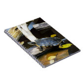 Teichschieberschildkröte im wilden notizblock (Rechte Seite)