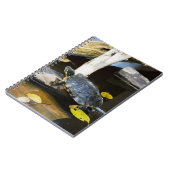 Teichschieberschildkröte im wilden notizblock (Linke Seite)