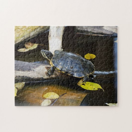 Teichschieberschildkröte im wilden puzzle (Horizontal)