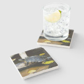 Teichschieberschildkröte im wilden steinuntersetzer (Seitenansicht)