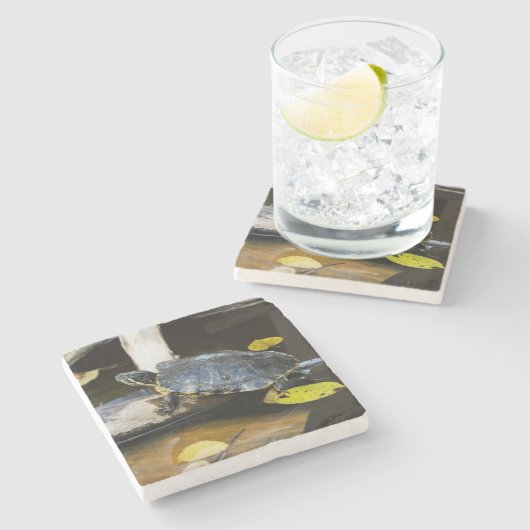 Teichschieberschildkröte im wilden steinuntersetzer (Seitenansicht)