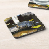 Teichschieberschildkröte im wilden untersetzer (Linke Seite)