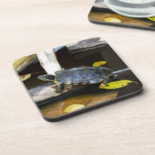 Teichschieberschildkröte im wilden untersetzer (Linke Seite)