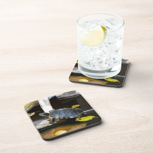 Teichschieberschildkröte im wilden untersetzer (Rechte Seite)