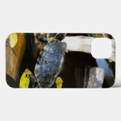 Teichschildkröte in freier Wildbahn Case-Mate iPhone Hülle (Rückseite (Horizontal))