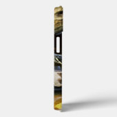 Teichschildkröte in freier Wildbahn Case-Mate iPhone Hülle (Rückseite / Rechts)