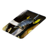 Teichschildkröte in freier Wildbahn Magnet (Linke Seite)