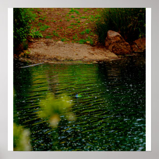 Teichwellen Poster