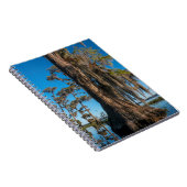 Teichzellenbaum in einem Sumpf Notizblock (Rechte Seite)