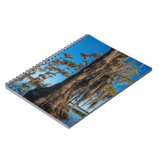 Teichzellenbaum in einem Sumpf Notizblock (Linke Seite)