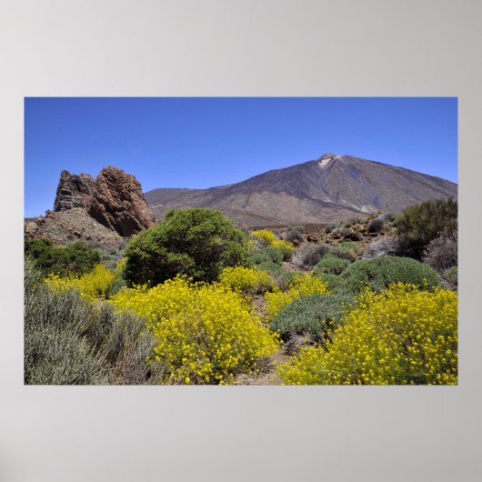 Teide auf Kanarische Insel Poster (Vorne)