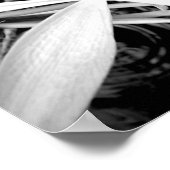 Teiglilie Poster (Ecke)