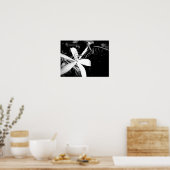 Teiglilie Poster (Küche)