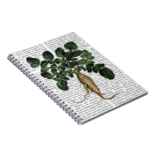 Teil 1 notizblock (Rechte Seite)