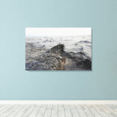 Teil einer Ölpest im Golf von Mexiko Leinwanddruck (Insitu (Holzboden))