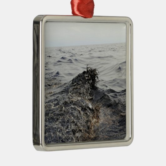 Teil einer Ölpest im Golf von Mexiko Silbernes Ornament (Rechts)