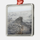 Teil einer Ölpest im Golf von Mexiko Silbernes Ornament (Links)