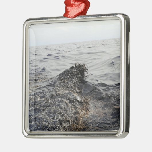 Teil einer Ölpest im Golf von Mexiko Silbernes Ornament (Links)