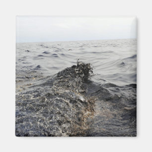 Teil eines Ölteppichs im Golf von Mexiko Magnet