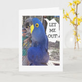 TEIL IM KAGE SAGT MIR, MICH AUSGEBURTSKARTE LASSEN KARTE (Gelbe Blume)