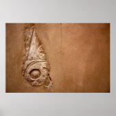 Teilal Hieroglyph Poster (Vorne)