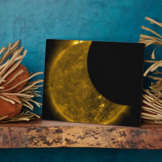 Teilausschnitt der Sonne Fotoplatte (Seite)