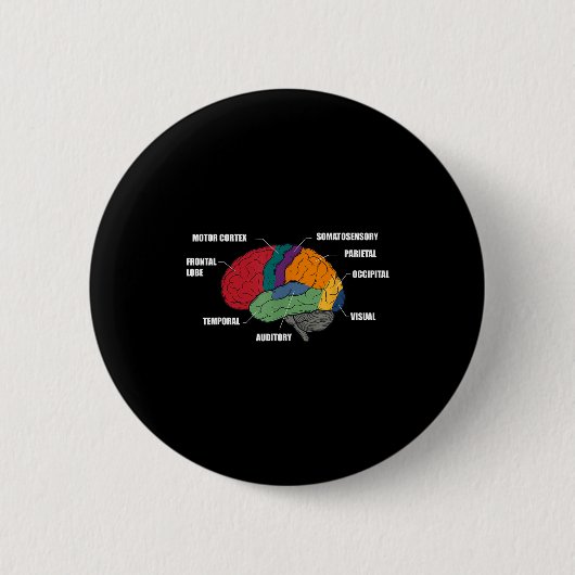 Teile der Gehirn Anatomie farbenfrohes Diagramm Button (Vorderseite)