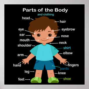 Teile des Body Poster