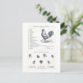 Teile des Huhns Postkarte (Stehend Vorderseite)