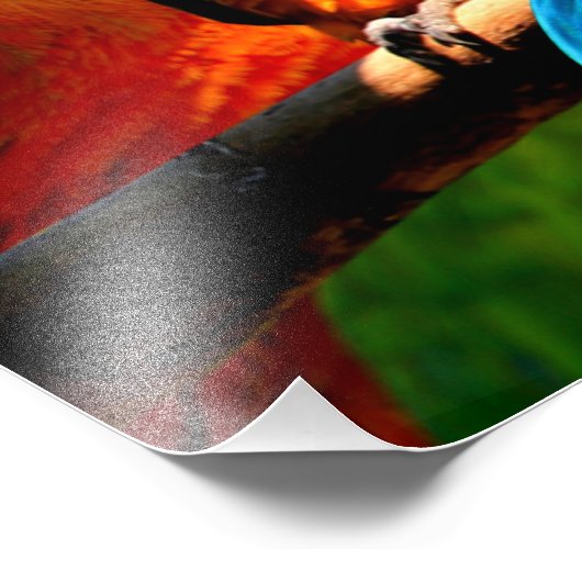 TEILE FOTODRUCK (Ecke)