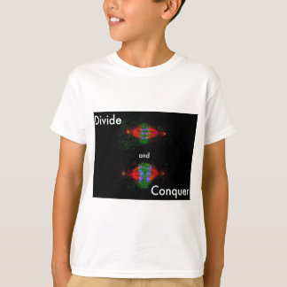 Teilen Sie sich und erobern Sie T-Shirt