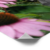 Teilfarbige Blume des Hibiskus Poster (Ecke)