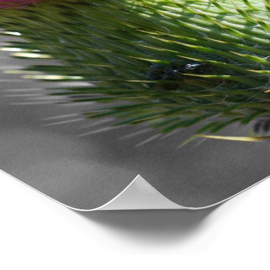 Teilfarbigkeit der lila Blume Poster (Ecke)