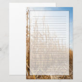 Teils geerntetes Mais-Feld Briefpapier (Vorne/Hinten)
