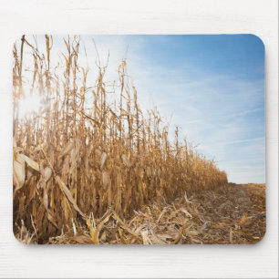 Teils geerntetes Mais-Feld Mousepad