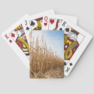 Teils geerntetes Mais-Feld Spielkarten