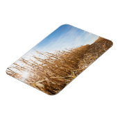 Teilweise geerntetes Maisfeld Magnet (Linke Seite)