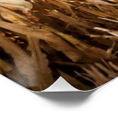 Teilweise geerntetes Maisfeld Poster (Ecke)