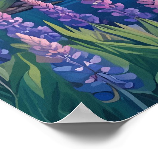 Tekapo-See und Lupins Poster (Ecke)