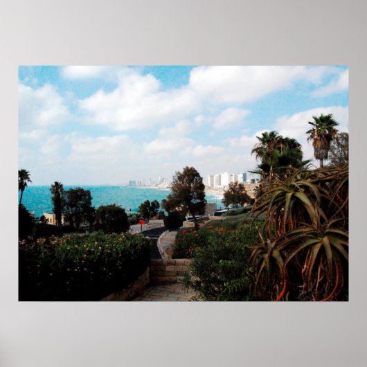 Tel Aviv Foto aus Abrasha Park, Jaffa, Israel Poster (Vorne)