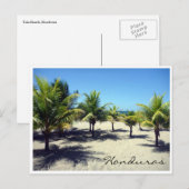 Tela Beach Palms Postkarte (Vorne/Hinten)
