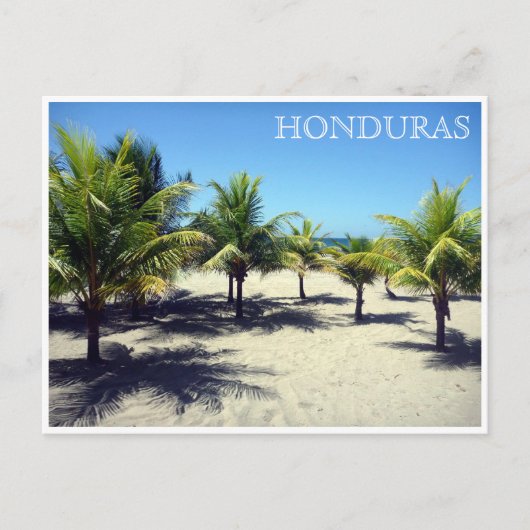 Tela palms honduras postkarte (Vorderseite)