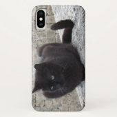 Telefon-Hüllen der schwarzen Katze Case-Mate iPhone Hülle (Rückseite)