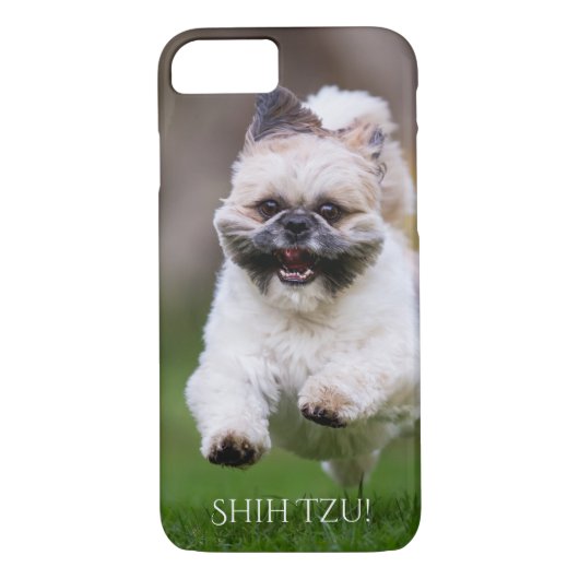 Telefon-Kasten Shih Tzu Case-Mate iPhone Hülle (Rückseite)
