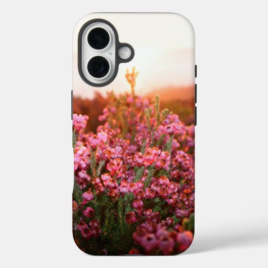 Telefonabdeckung: Erica-Daphniflora Case-Mate iPhone Hülle (Rückseite)