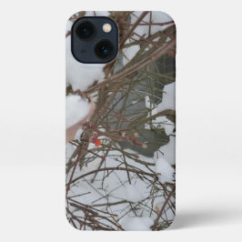 TelefonCase iPhone 13 Hülle